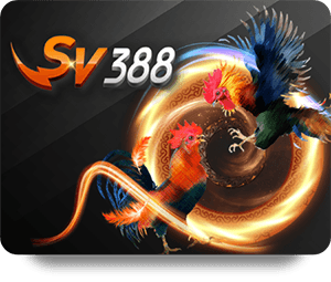 Tại Sao BK8 Casino Đẳng Cấp Lại Thu Hút Nhiều Người Chơi?